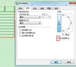 wps表格里竖着放字 | wps表格里面