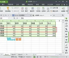 wps在表格中如何分两个