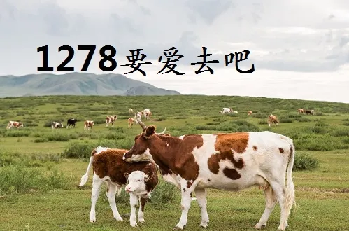 1278是什么意思？附1278去爱吧意义解释