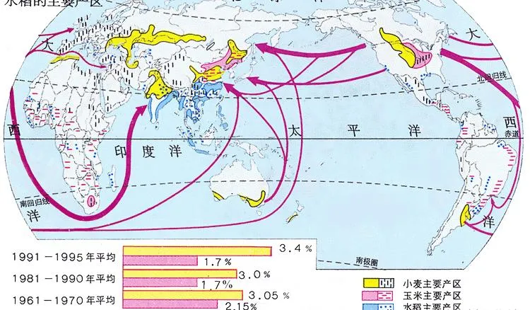 玉米是什么时候传入中国的 | 玉米哪一年进入中国