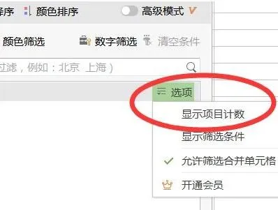 wps筛选后的计数如何导出来