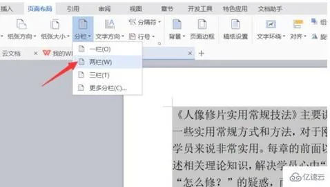 wps分一栏 | 在word或wps中分栏