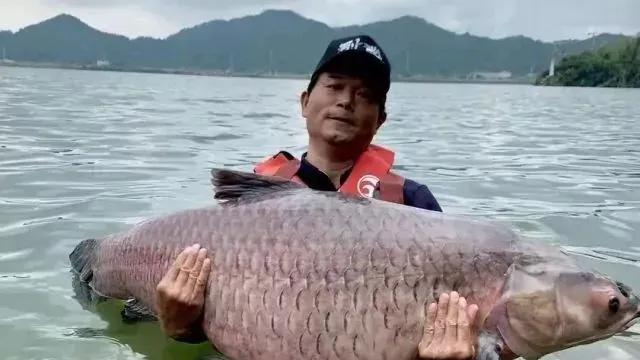中国钓鱼大师十大排名 | 抖音上的十大网红钓鱼高手
