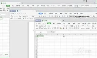 wps打开两张表 | 在wps表格中同时
