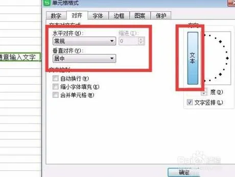 wps表格中如何写入竖向文字