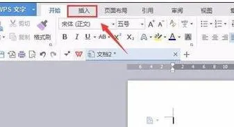 wps文字如何插入进去