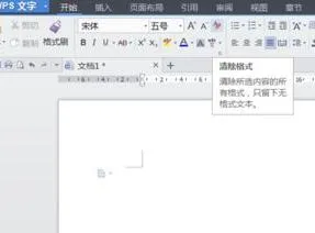 wps文字清除文字格式 | wps删除文字格式