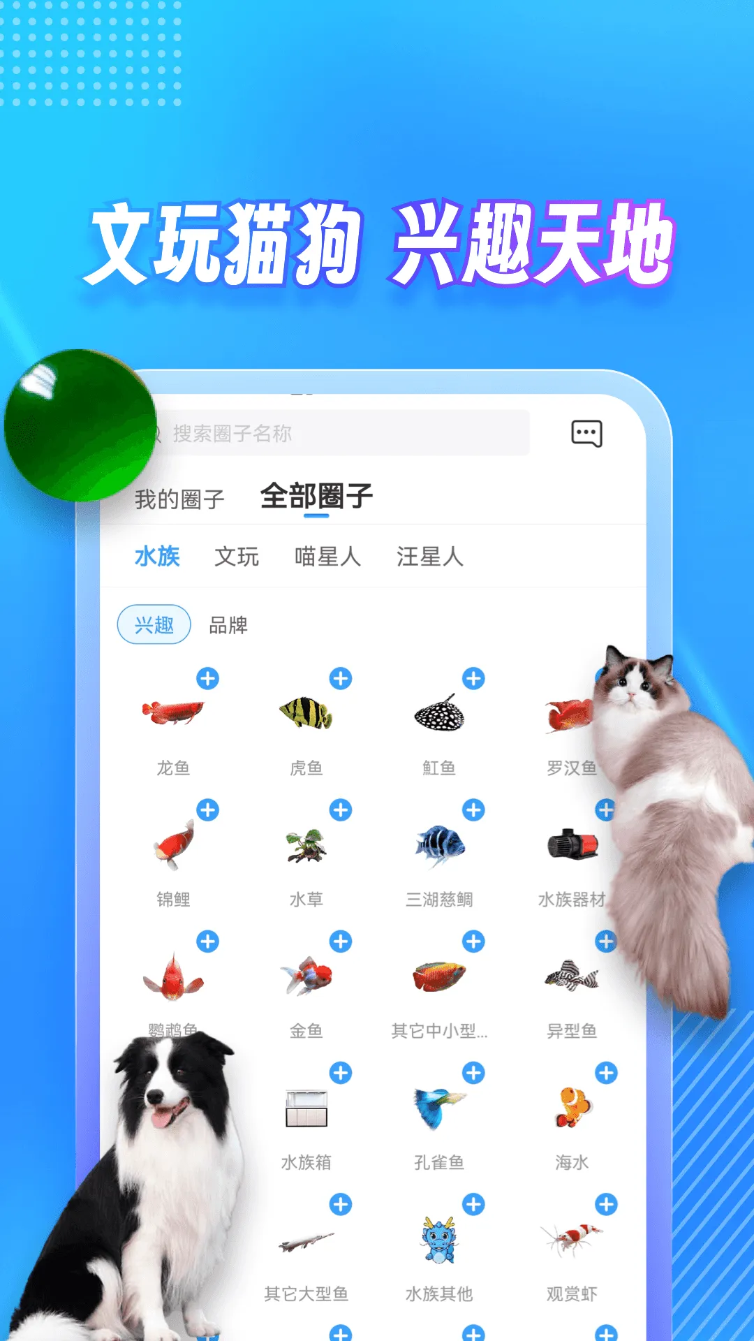 高质量小众社交app哪个好 高质量小