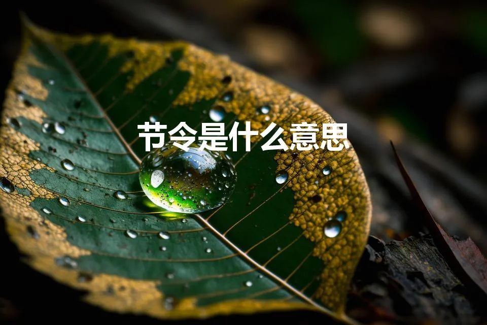 节令是什么意思（冬至节令是什么意思)