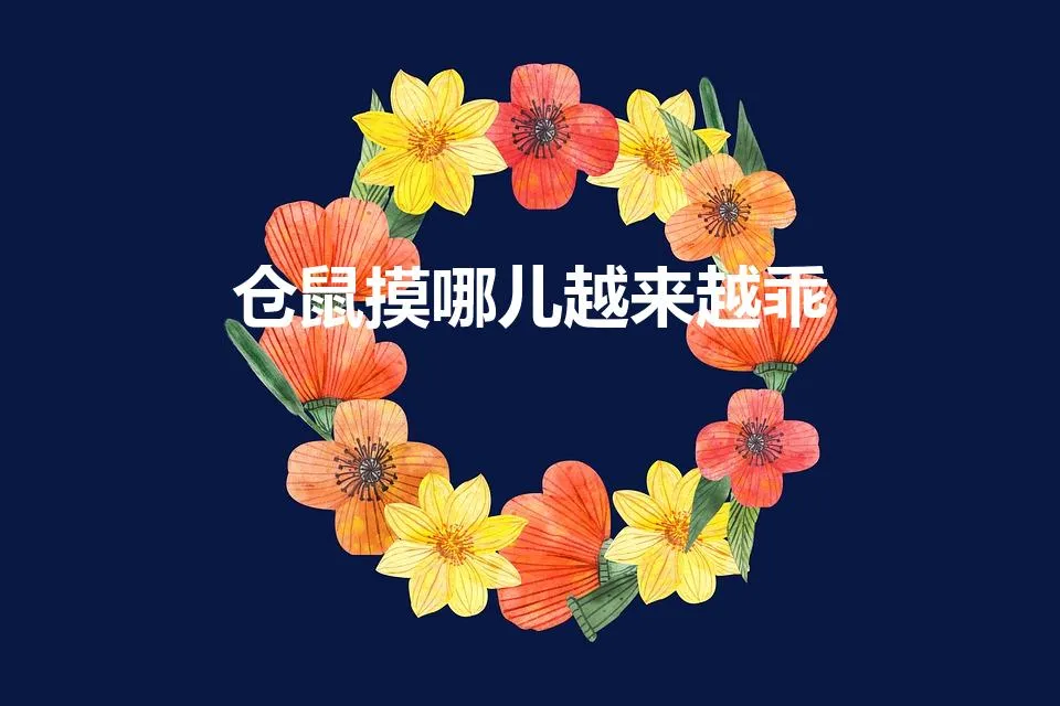 仓鼠摸哪儿越来越乖 | 摸仓鼠哪里它会开心