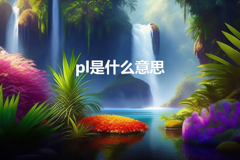 pl是什么意思（plog是什么意思)