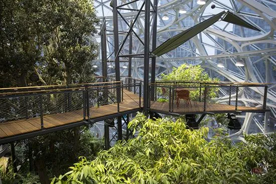 壕！亚马逊总部扩建了一片“热带雨林”