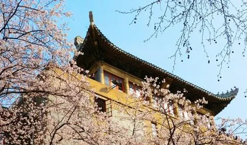 2018武汉大学樱花节怎么预约？附预约地址和时间