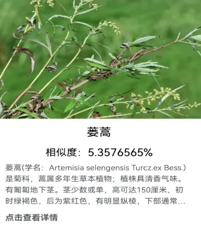 查植物品种的app有哪些 查植物品种软件合集