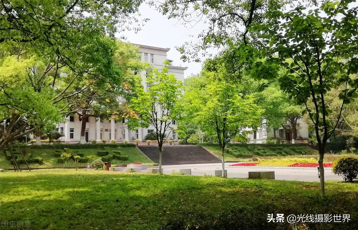 西南大学位置在什么地方 | 西南大