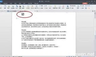 在wps的文字中打钩 | wps文字在文字上打勾