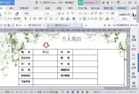 wps文字中表格如何增加底纹