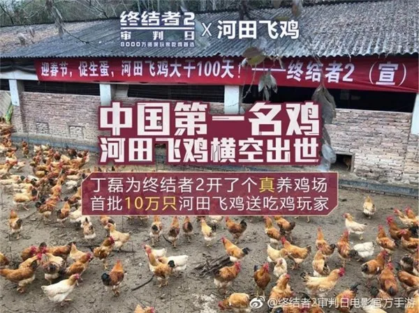 网易回应养鸡场事件：没有投资任何实体养鸡项目