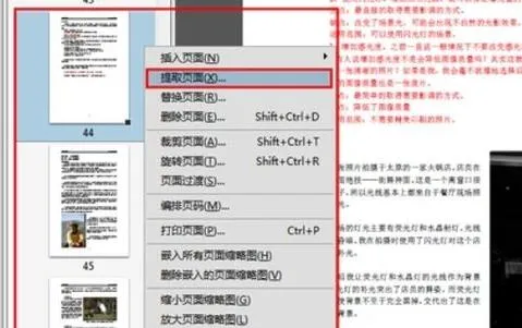 如何让wps不打开pdf