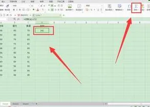 用wps使用求和公式 | wps求和wps表格自动求和公式