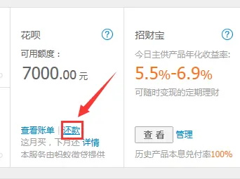 蚂蚁花呗可以买什么？支付宝蚂蚁微贷是什么？