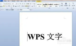 wps文字格式编辑文字格式 | WPS文字修改模板