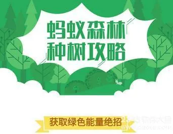 蚂蚁森林每天几点更新有能量？支付宝蚂蚁森林快速刷能量方法