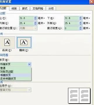 WPS设置A3两个页码 | WPS中在一个页面中插入2个页码