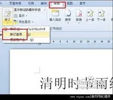 wps文字插批注 | WPSOffice文字添加批注