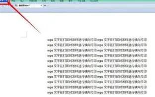 wps打印横向长表格 | 将WPS做成的表格在打印时是横向的