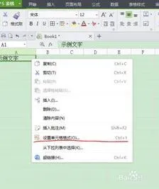 wps表格里设置文字竖排 | wps表格里面文字方向竖着排列