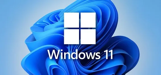 Win11家庭版和专业版哪个好 Win11家庭版和专业版区别对比