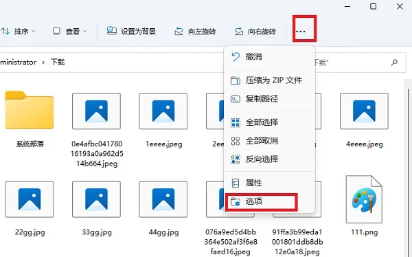 Win11文件不显示预览图怎么办？ 【windows 预览不显示】