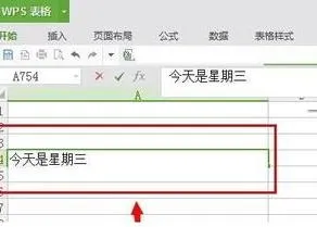 wps表格同一格内文字分行 | wps表格,在一个格子里面弄2行字