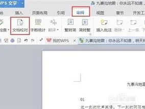 wps论文查找错别字 | wps文字错别字检查