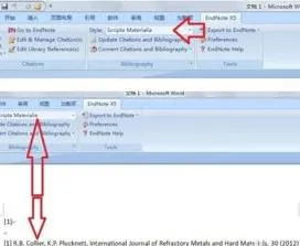wps的word里如何加入endnote
