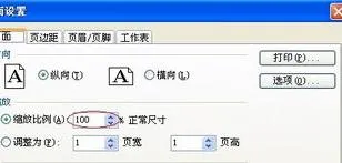 wps上的字放大打印 | WPS表格打印把字放大