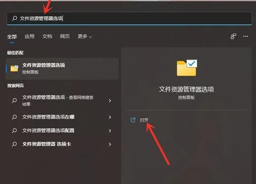 windows11系统文件后缀名怎么显示？ 【windows11如何显示文件扩展名】