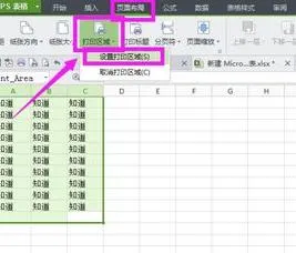 制作能打印的wps表格 | 打印文件wps视频教程文档wps全集