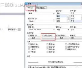 这WPS文字下划线 | 在WordWPS中添加文字下划线并进行设置