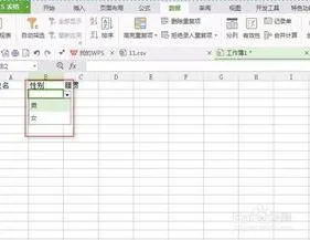 WPS文档表格增加选项 | wps表格添加下拉列表