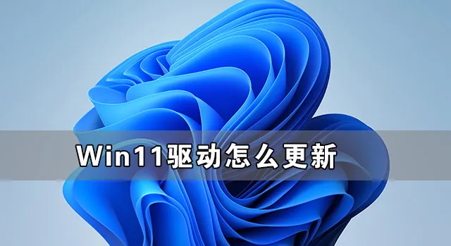 win11兼容性视图设置在哪 【win11如何设置ie兼容性视图】