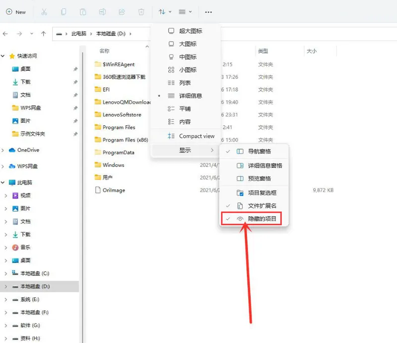 怎么查看Win11的隐秘项目？查看Win11的隐秘项目教程