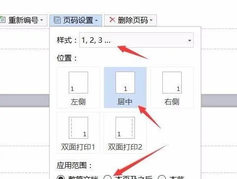 wps页码自定义页码格式设置 | WPS页码格式设置