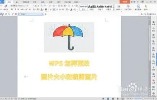 快速用wps裁剪大小 | WPS裁剪