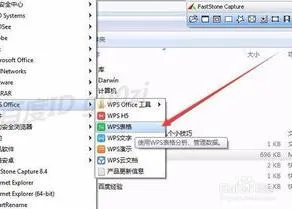 wps快速清除对象 | wps设置对象格式取消