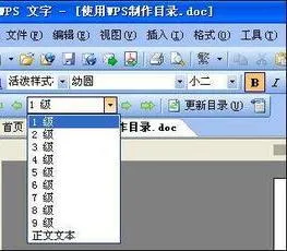 wps根据字体颜色自动生成文字 | wps中把字体颜色变成其他颜色