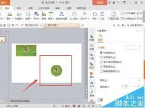 wps中设置照片形状 | wps改变形状