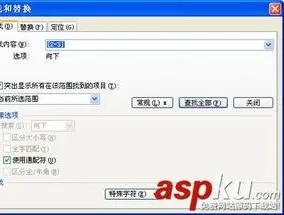 wps高级搜索使用 | WPS2009高级查找替换插件应用