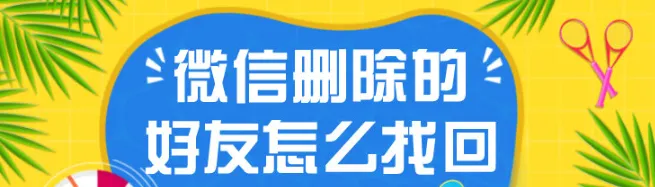 微信删除的好友怎么找回 如何找回微信删掉的人 微信有恢复好友功能吗